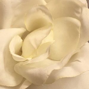 Meet your Posher, Beverly